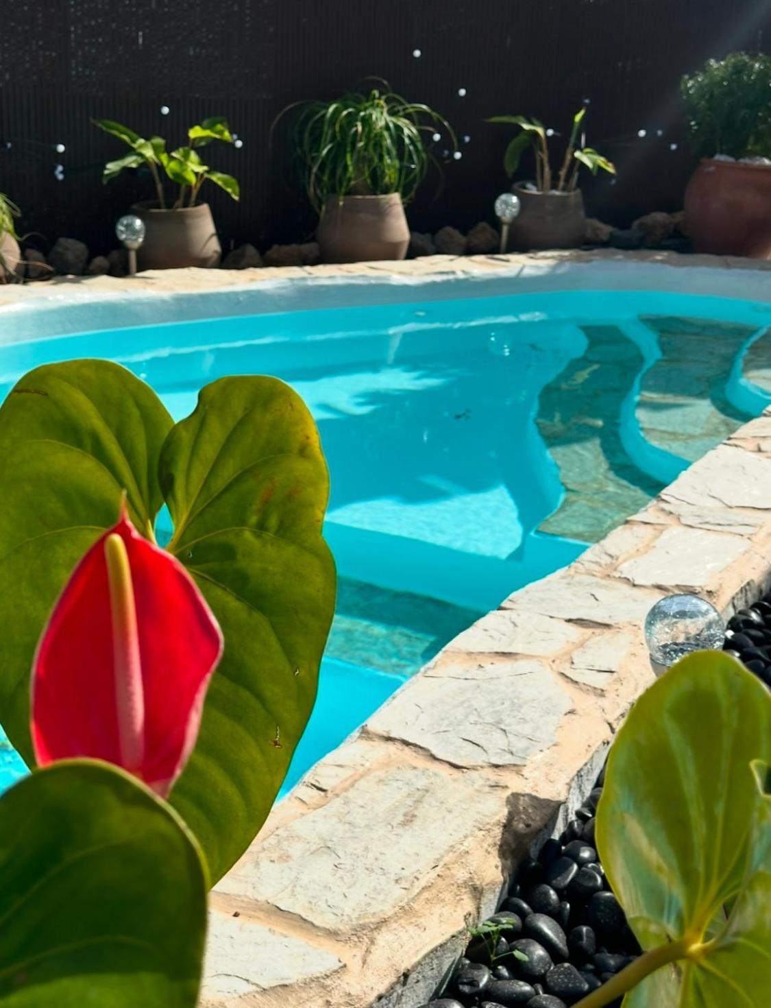 Villa Krisant Gold Rural Luxury Privat Pool Santa Cruz de Tenerife